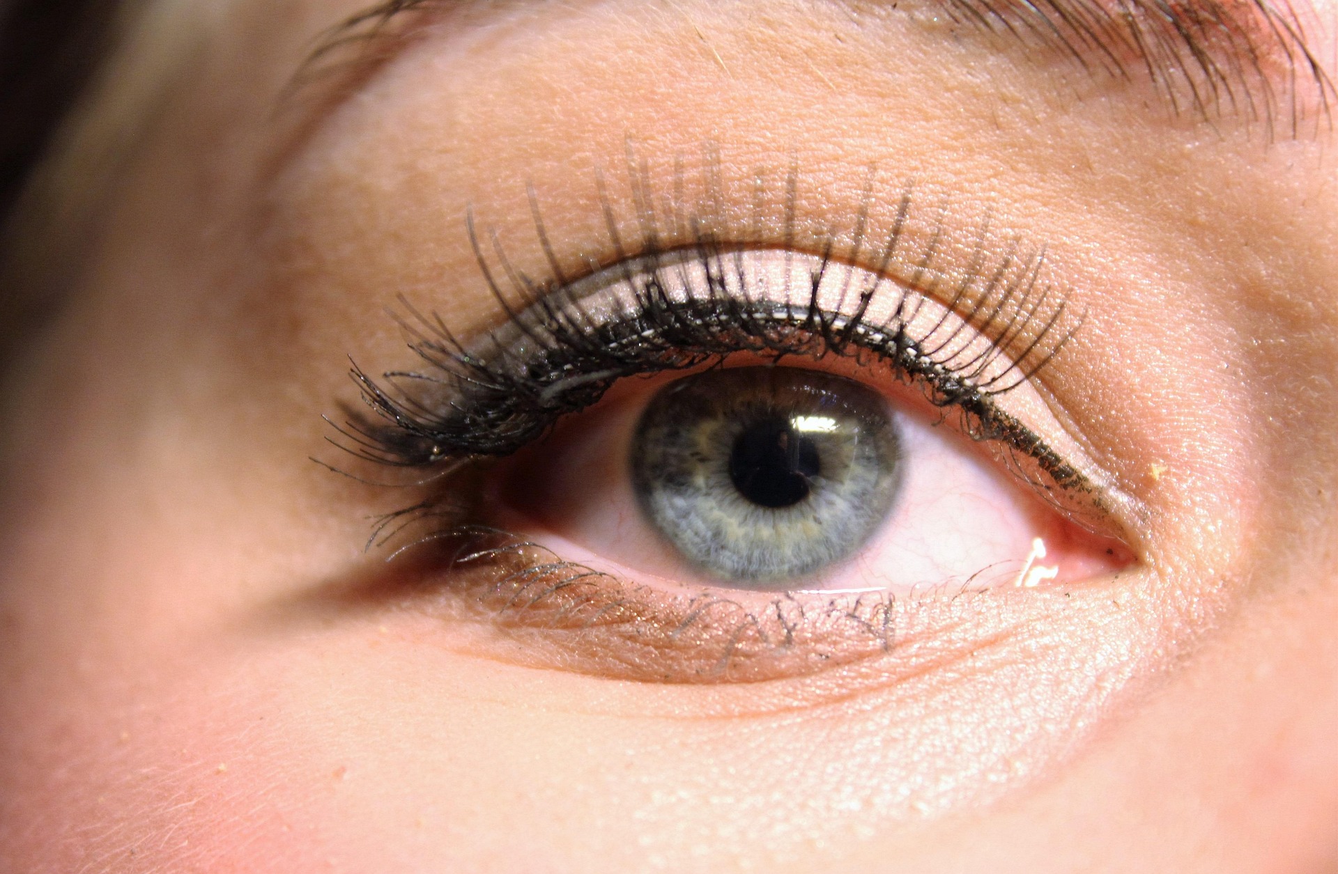 Wimpern Augenbrauen und Wimpern